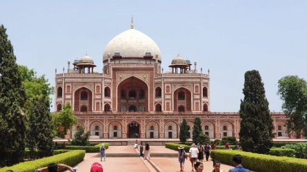 20220625_125219.jpg 20220625_125219.jpg