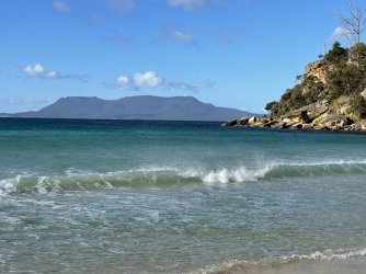 381C5452-44B0-4B41-8924-841397A4FDEB.jpeg 381C5452-44B0-4B41-8924-841397A4FDEB.jpeg