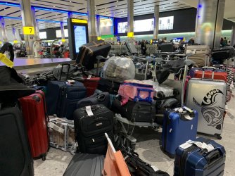 7201740C-6D22-4619-86EB-FAE6D38991B1.jpeg 7201740C-6D22-4619-86EB-FAE6D38991B1.jpeg