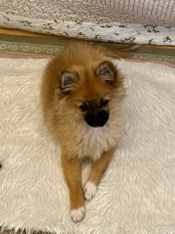 IMG_4558.jpeg IMG_4558.jpeg