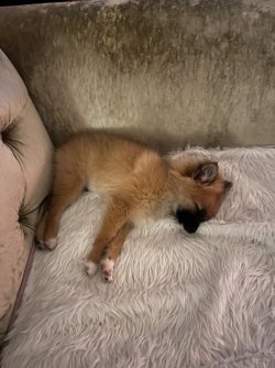 IMG_4552.jpeg IMG_4552.jpeg