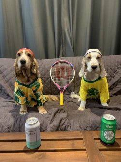 1657973874873.jpeg 1657973874873.jpeg