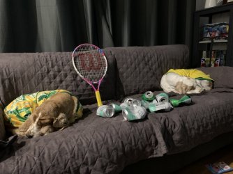 1657974006525.jpeg 1657974006525.jpeg