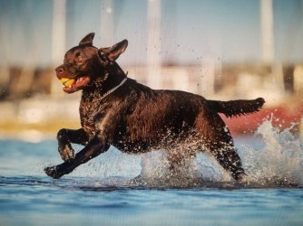 20220717_120305.jpg 20220717_120305.jpg