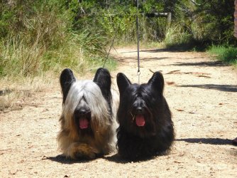 23768701_10155799064383704_2070943196_o.jpeg 23768701_10155799064383704_2070943196_o.jpeg