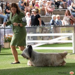 278732342_10159751630123704_8568693509667843937_n.jpg 278732342_10159751630123704_8568693509667843937_n.jpg