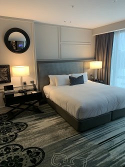 864067D2-F726-4058-95F8-00A2E6E495B1.jpeg 864067D2-F726-4058-95F8-00A2E6E495B1.jpeg