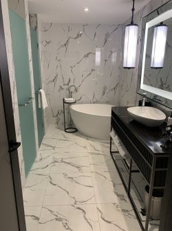 160572A6-A03C-4309-89C6-E4CD2BAA43A1.jpeg 160572A6-A03C-4309-89C6-E4CD2BAA43A1.jpeg