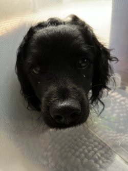 IMG_5193.JPG IMG_5193.JPG