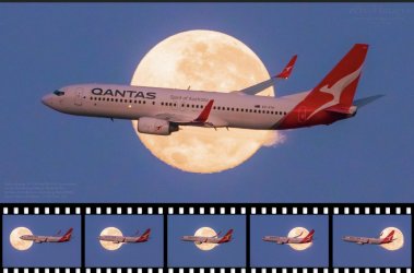 B1B38EF6-B3F0-4D26-806A-B8D083F29C39.jpeg B1B38EF6-B3F0-4D26-806A-B8D083F29C39.jpeg