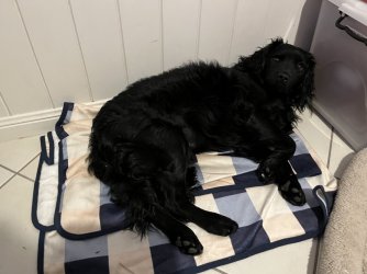 IMG_6207.JPG IMG_6207.JPG