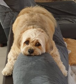 20211225_211353.jpg 20211225_211353.jpg