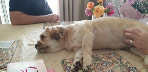 20210508_124904.jpg 20210508_124904.jpg