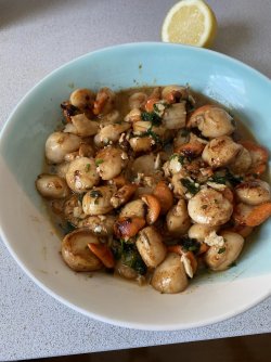 06283241-AACA-400B-8A50-868144AF9E3C.jpeg 06283241-AACA-400B-8A50-868144AF9E3C.jpeg