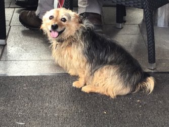 DA859276-A69B-43B0-A368-096E1C0C86B0.jpeg DA859276-A69B-43B0-A368-096E1C0C86B0.jpeg