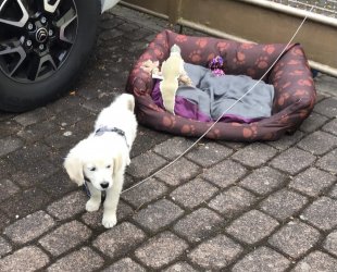 39F6D013-6070-4087-A603-A32F9EEAF8B6.jpeg 39F6D013-6070-4087-A603-A32F9EEAF8B6.jpeg