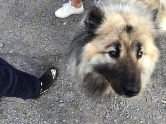 8A537CE3-F383-4B6A-B3A0-12CA5DB34B50.jpeg 8A537CE3-F383-4B6A-B3A0-12CA5DB34B50.jpeg