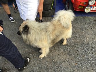 69B2E113-C73A-43A0-B041-D7ACF2491FD9.jpeg 69B2E113-C73A-43A0-B041-D7ACF2491FD9.jpeg