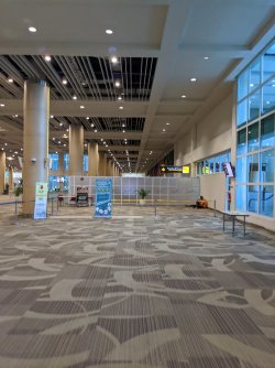 IMG_20200307_153913.jpg IMG_20200307_153913.jpg