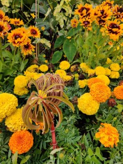 2022-07-23 15.32.51.jpg 2022-07-23 15.32.51.jpg