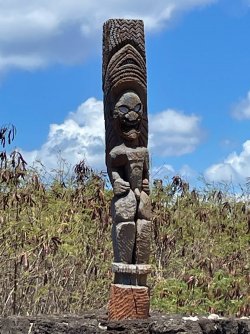 IMG_2205.JPG IMG_2205.JPG