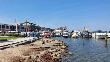 20220724_152423.jpg 20220724_152423.jpg