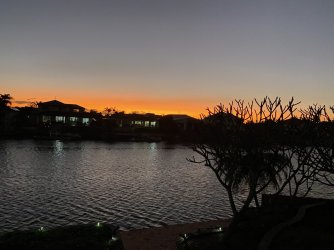 7D66AD0A-A981-4560-94D2-4A3BC5D6BB4D.jpeg 7D66AD0A-A981-4560-94D2-4A3BC5D6BB4D.jpeg