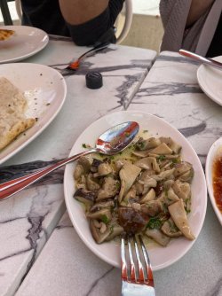 BA190A16-9214-4164-B808-459A78D595F7.jpeg BA190A16-9214-4164-B808-459A78D595F7.jpeg