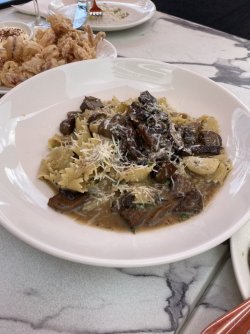 FFFA816F-511D-48FD-A037-20999D9A7FC2.jpeg FFFA816F-511D-48FD-A037-20999D9A7FC2.jpeg