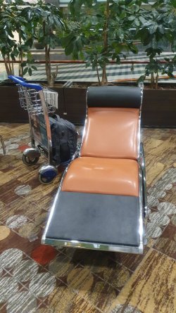 20220730_060648.jpg 20220730_060648.jpg