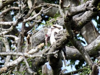 CA8E3449-EA85-46FC-9C9A-B1535AB08291.jpeg CA8E3449-EA85-46FC-9C9A-B1535AB08291.jpeg