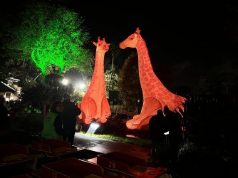 IMG_7464.JPG IMG_7464.JPG