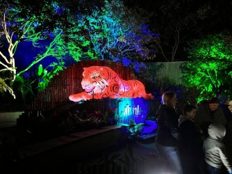 IMG_7465.JPG IMG_7465.JPG