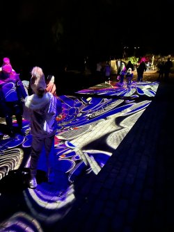 IMG_7471.JPG IMG_7471.JPG