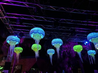 IMG_7489.JPG IMG_7489.JPG