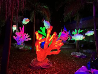 IMG_7494.JPG IMG_7494.JPG