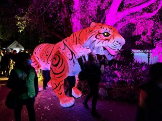 IMG_7506.JPG IMG_7506.JPG