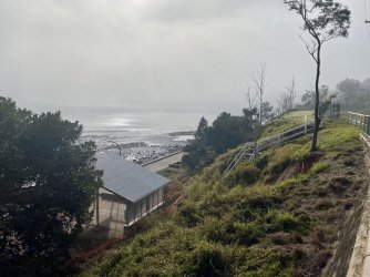 2E514F9F-C634-46D6-B14E-A441BEC67407.jpeg 2E514F9F-C634-46D6-B14E-A441BEC67407.jpeg