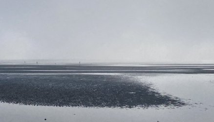 6F25E6E7-C644-435F-BC4F-89E17E45E9F7.jpeg 6F25E6E7-C644-435F-BC4F-89E17E45E9F7.jpeg