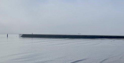 00860D6D-C318-4932-AB81-B540C77BD501.jpeg 00860D6D-C318-4932-AB81-B540C77BD501.jpeg