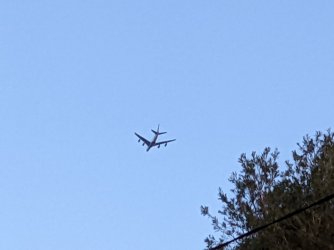 PXL_20220802_071133788.jpg PXL_20220802_071133788.jpg