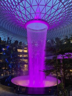 BCBE6E13-E9E7-43E1-95E6-85D3D1239FB2.jpeg BCBE6E13-E9E7-43E1-95E6-85D3D1239FB2.jpeg