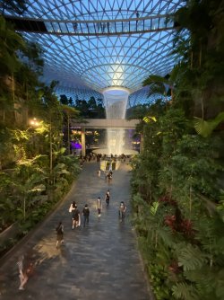 E18388AD-050D-429F-8EB0-03586DF1B01E.jpeg E18388AD-050D-429F-8EB0-03586DF1B01E.jpeg