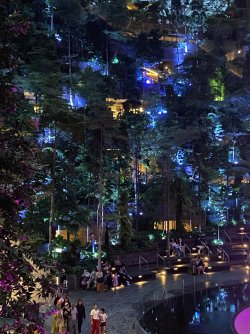 8CDD0ECE-7398-4DE1-B1DB-1580751C7317.jpeg 8CDD0ECE-7398-4DE1-B1DB-1580751C7317.jpeg