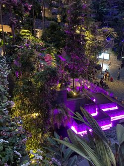 C15885FF-CCF6-4ADC-A6DF-BB539B25230C.jpeg C15885FF-CCF6-4ADC-A6DF-BB539B25230C.jpeg