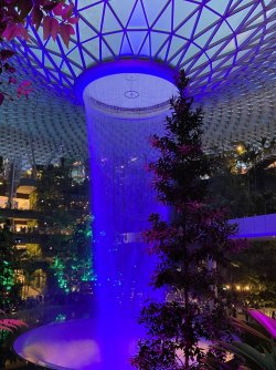 892903F8-D62E-4A29-9D97-DB07E4D5C0F1.jpeg 892903F8-D62E-4A29-9D97-DB07E4D5C0F1.jpeg