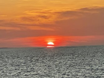 755A544F-C05C-4A64-A258-D08C85B61CD2.jpeg 755A544F-C05C-4A64-A258-D08C85B61CD2.jpeg