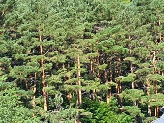 20220806_113307.jpg 20220806_113307.jpg