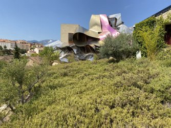 A949A5CD-2B6F-475F-9A8D-8916460ED5CE.jpeg A949A5CD-2B6F-475F-9A8D-8916460ED5CE.jpeg