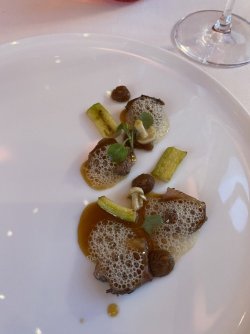 00098D11-976C-443F-93D2-20B1582E308A.jpeg 00098D11-976C-443F-93D2-20B1582E308A.jpeg